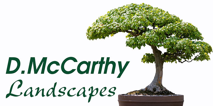 D McCarthy Landscapes