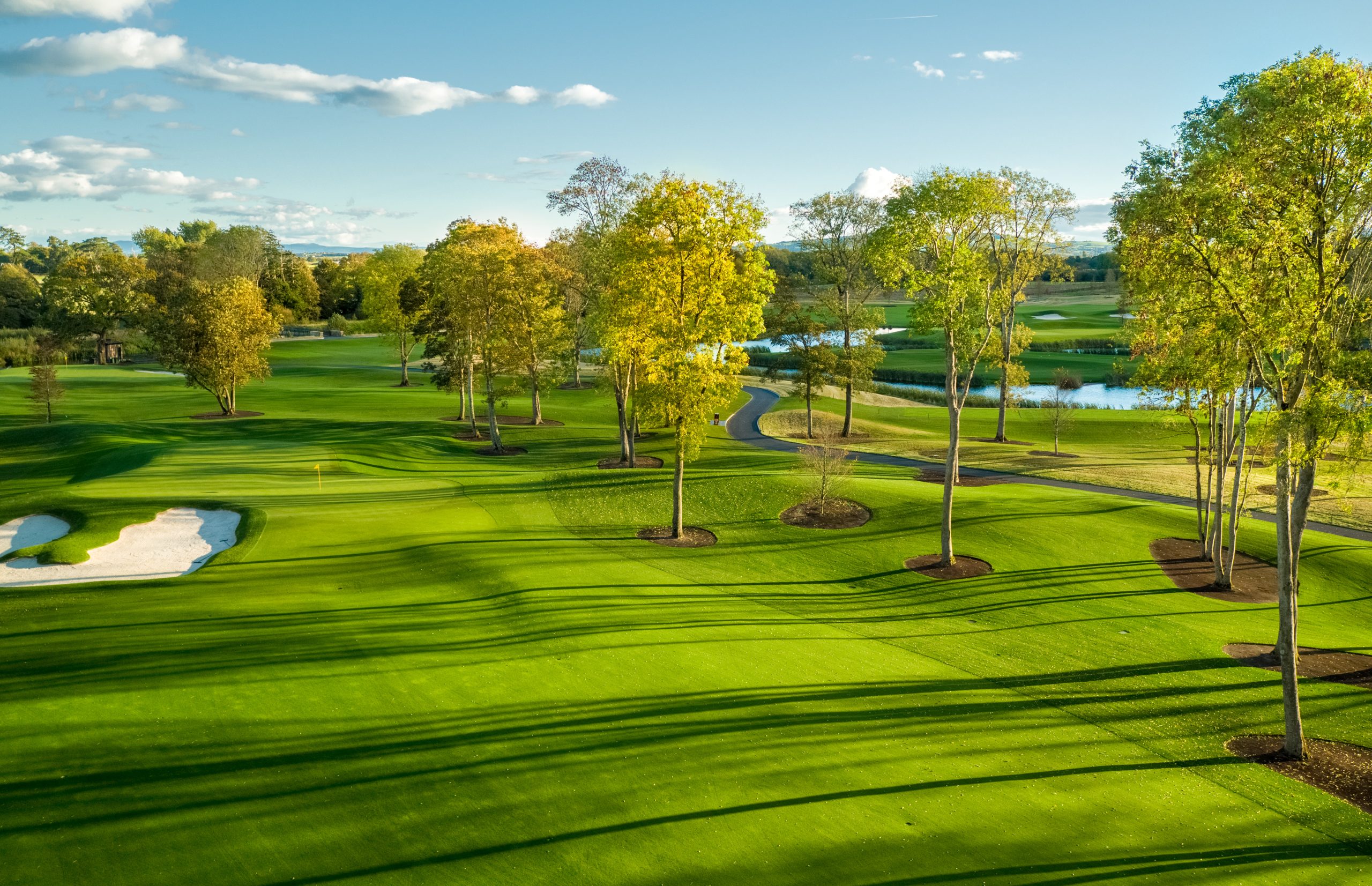 adare manor obrienlandscaping (1)