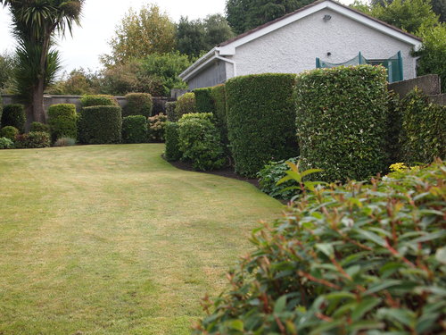 dollymount-trimmed-back-garden.JPG