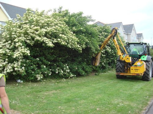 hedge-maintenance.JPG