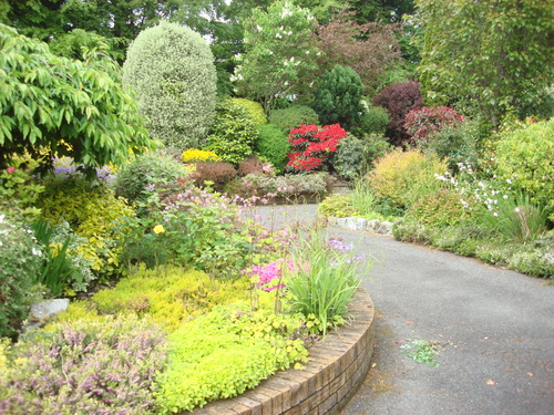 mixed-variety-shrubbery.JPG