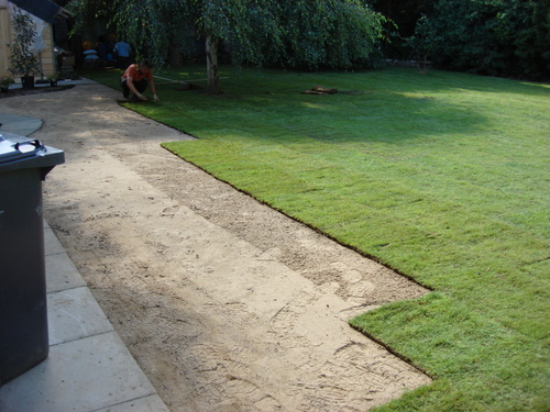 roll-out-lawn-turf.JPG