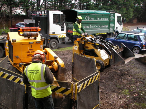 stump-grinding.JPG